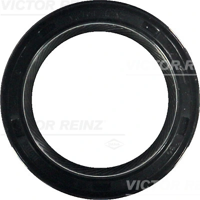 811753940 Victor Reinz