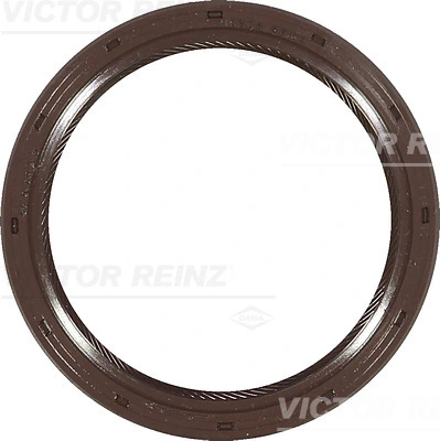 813572300 Victor Reinz
