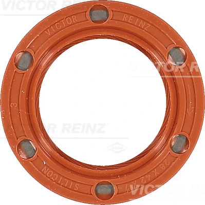813365310 Victor Reinz