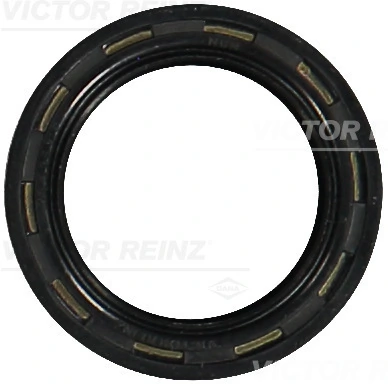 813512300 Victor Reinz