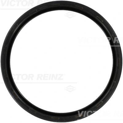 811065900 Victor Reinz