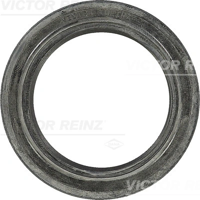  para Ford Transit  (V)