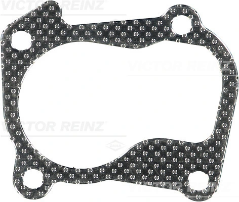 713319900 Victor Reinz