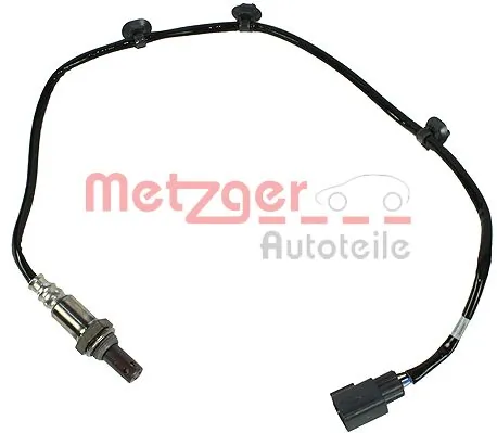 0893118 Metzger