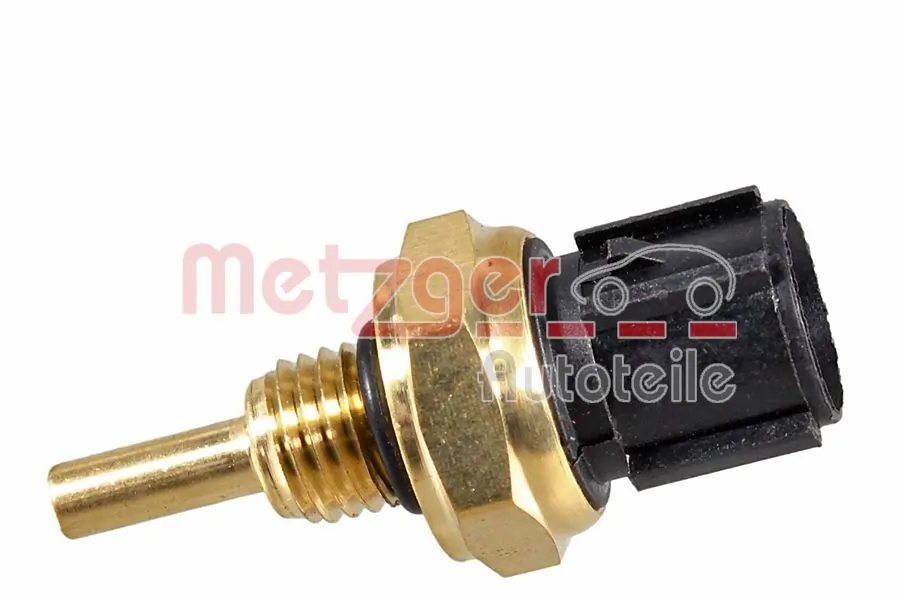 0905058 Metzger
