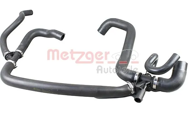 2420885 Metzger