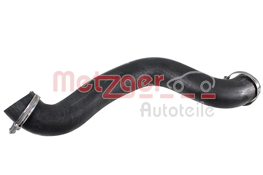 2401098 Metzger