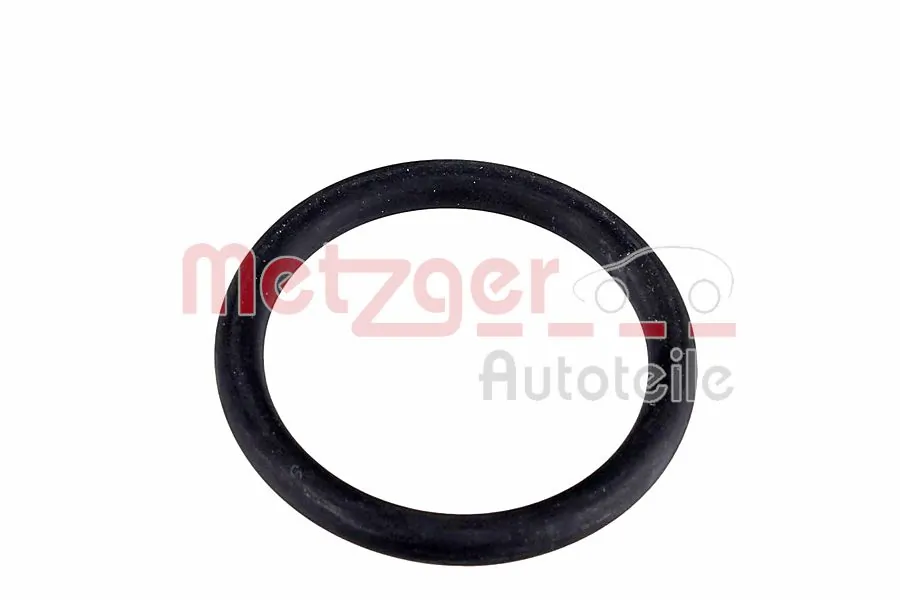 2430156 Metzger