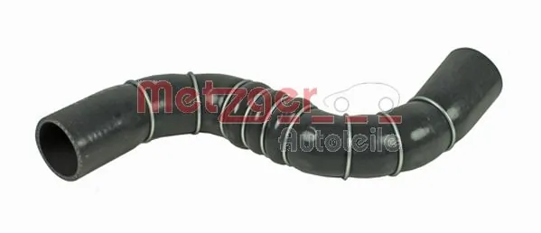 2400307 Metzger