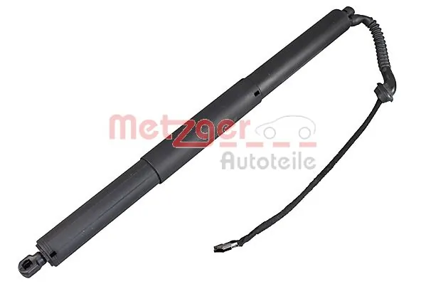2115020 Metzger