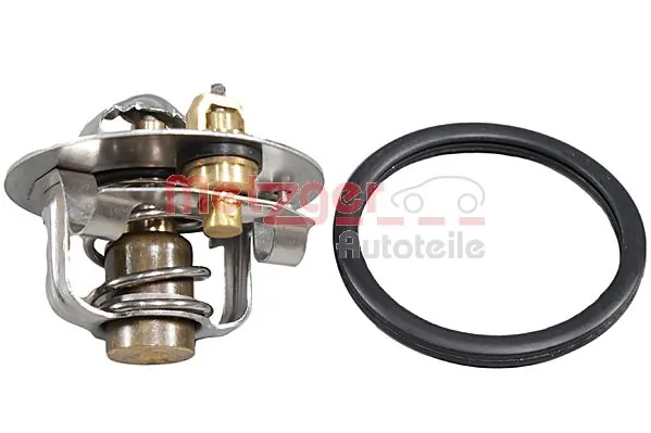 Compre 3916972 Ford Termostato