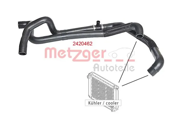 2420462 Metzger