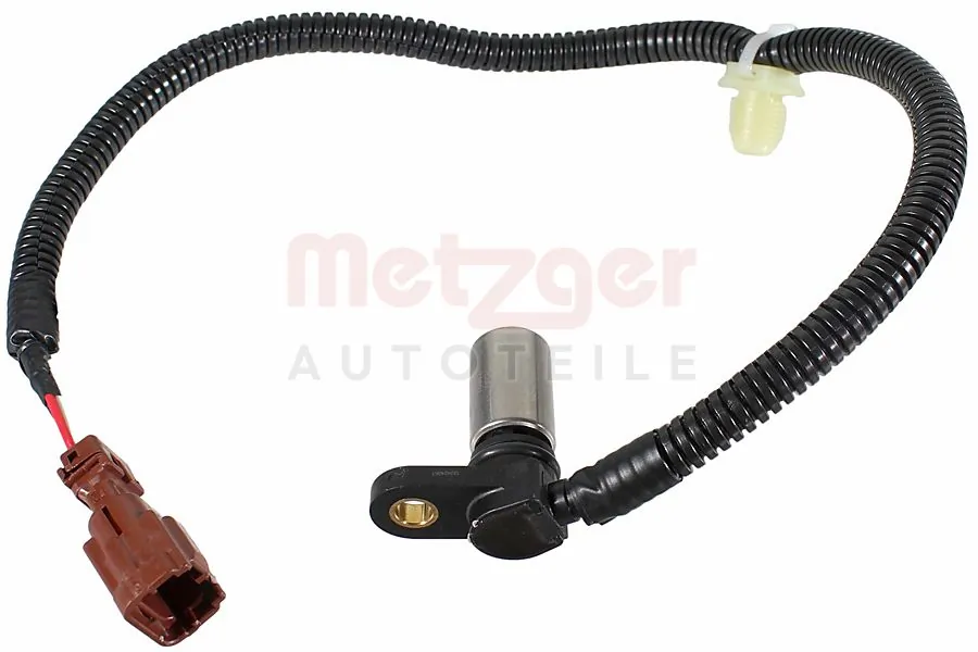Comprar  Primera  P12