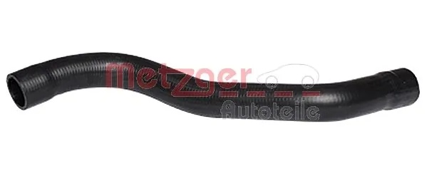 2420146 Metzger