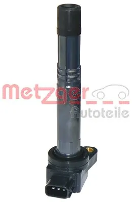 0880120 Metzger