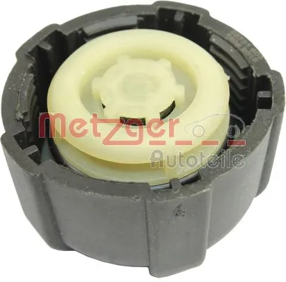 Compre Tampa (tampão) do tanque de expansão Renault Master 2