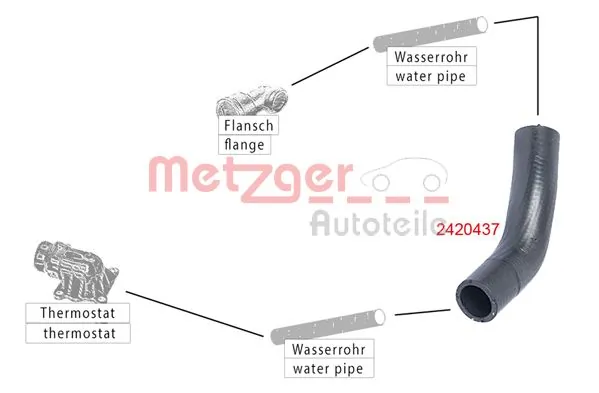2420437 Metzger