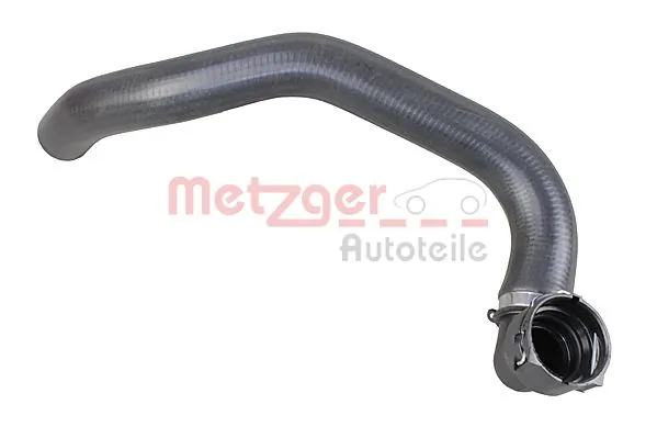 2421407 Metzger