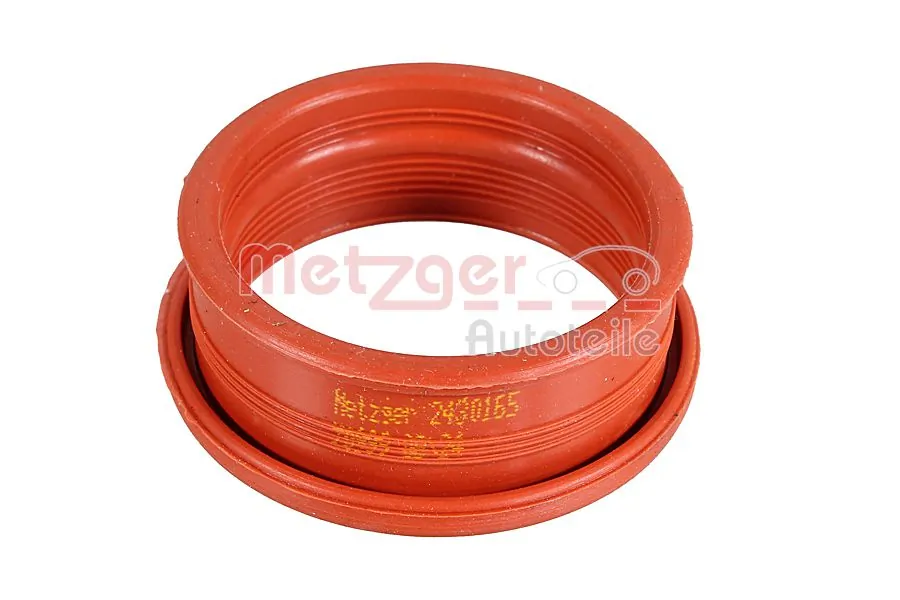 2430165 Metzger