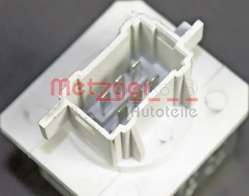 0917109 Metzger
