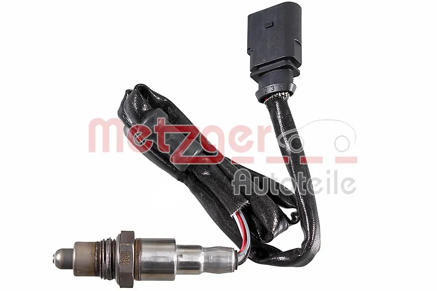 0893702 Metzger