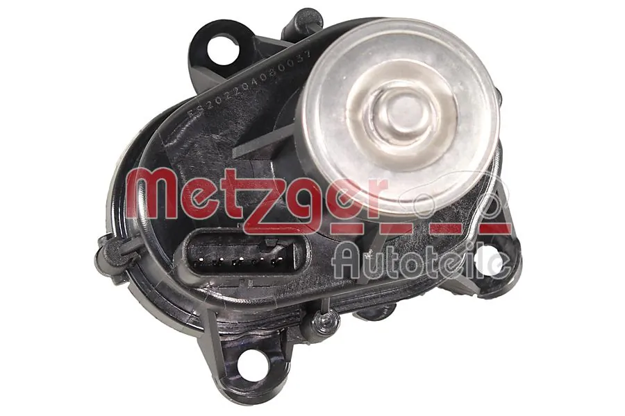 2100109 Metzger
