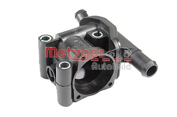 4010096 Metzger