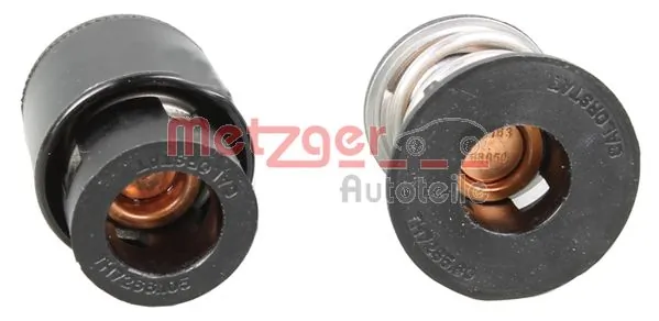 4006308 Metzger