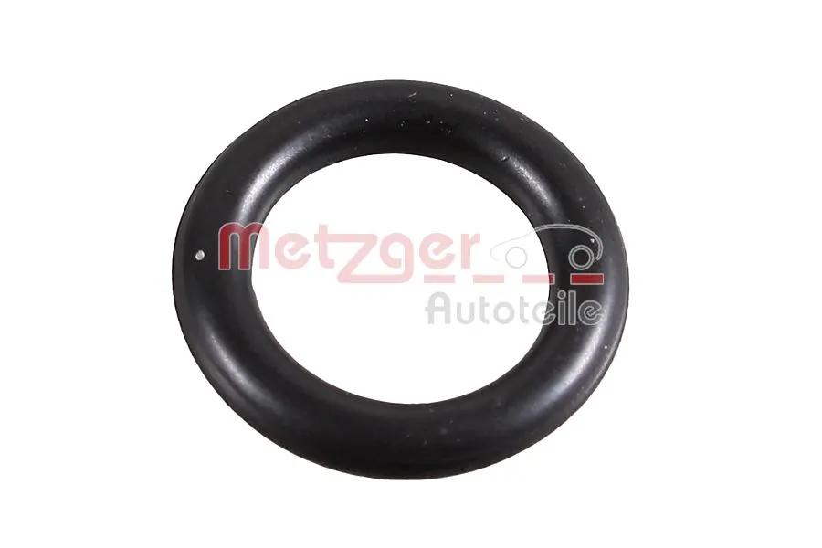 2430061 Metzger