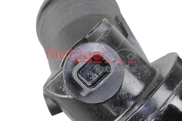 110617250R Renault (RVI) Termostato