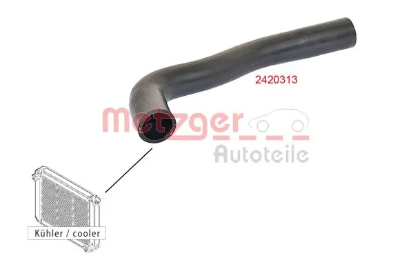 2420313 Metzger