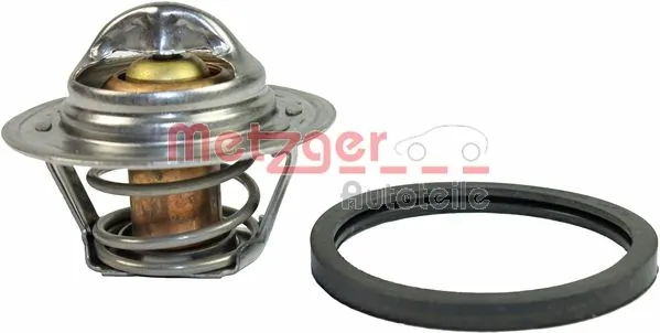 4006019 Metzger