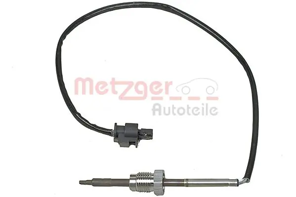 0894389 Metzger