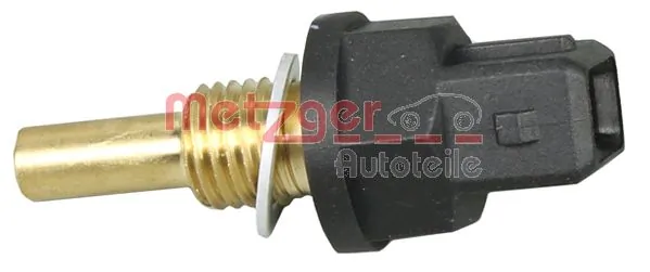 0905179 Metzger