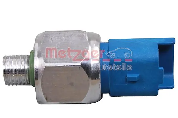 0910109 Metzger