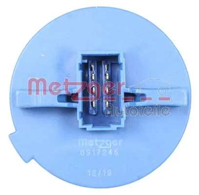 0917245 Metzger