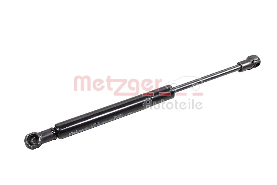 2110791 Metzger