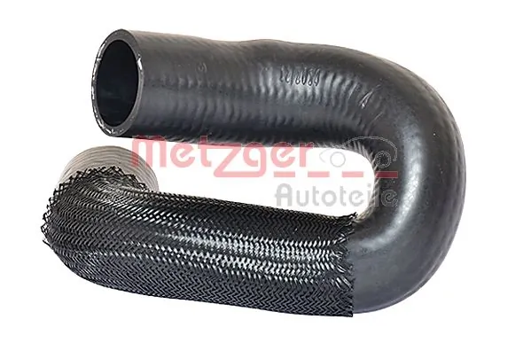 2420696 Metzger