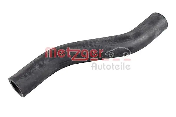 2421197 Metzger