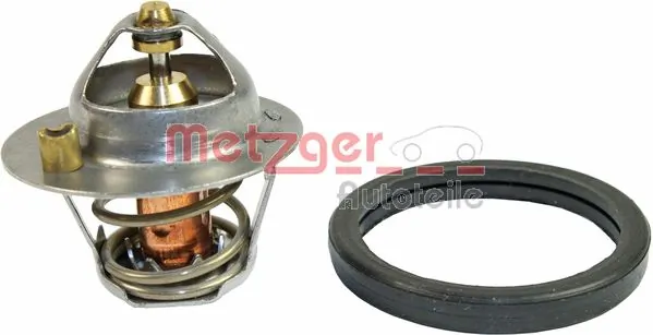4006231 Metzger