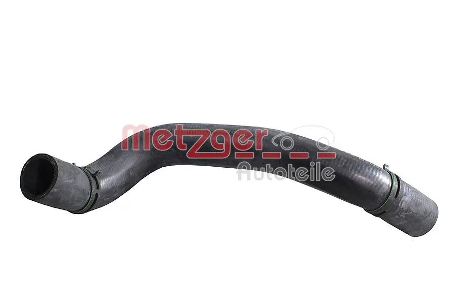 2421688 Metzger