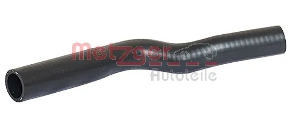 2420041 Metzger