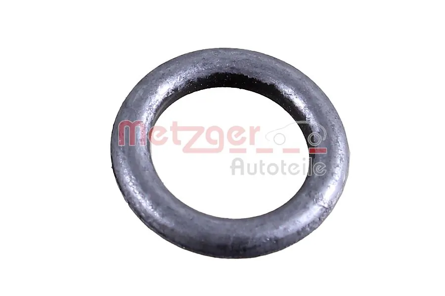 2430068 Metzger