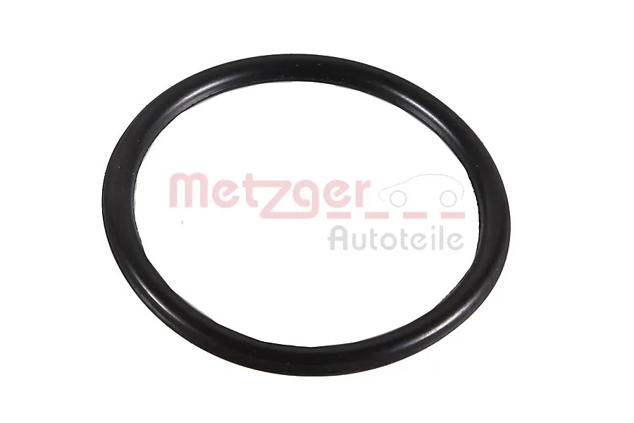 2430009 Metzger