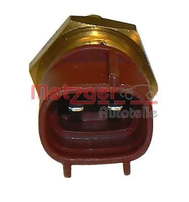 Sensor de temperatura do fluido de esfriamento Beru ST225