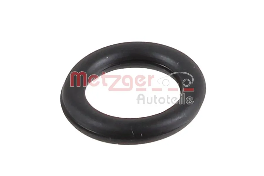 2430013 Metzger