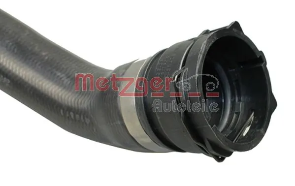 2420607 Metzger