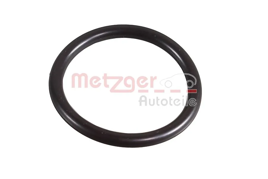 2430109 Metzger