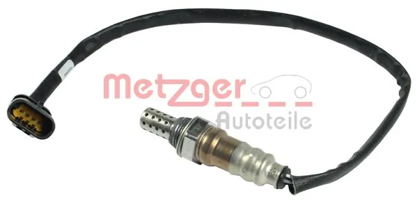0893016 Metzger