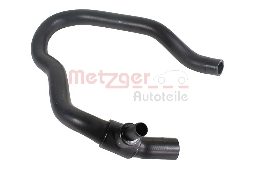 2421813 Metzger